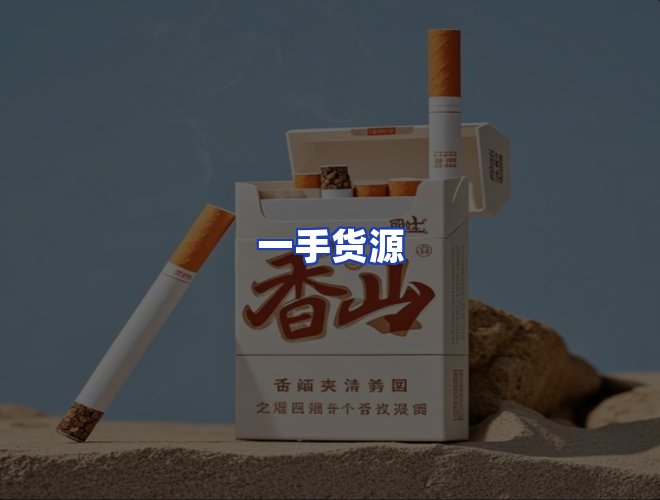 专业团队